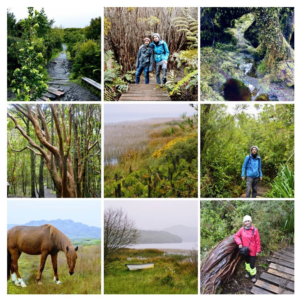 Randonnée au parc national Chiloé