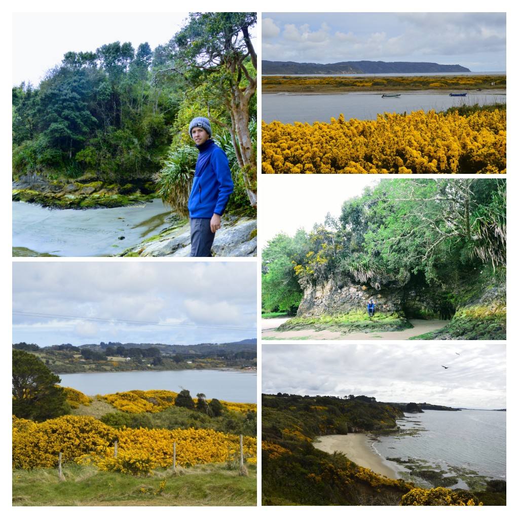 Péninsule du nord de l'île