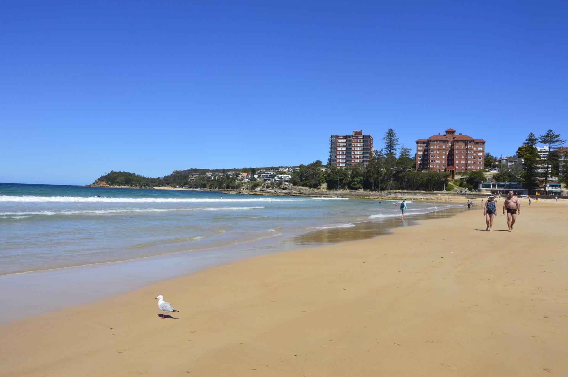 Manly beach