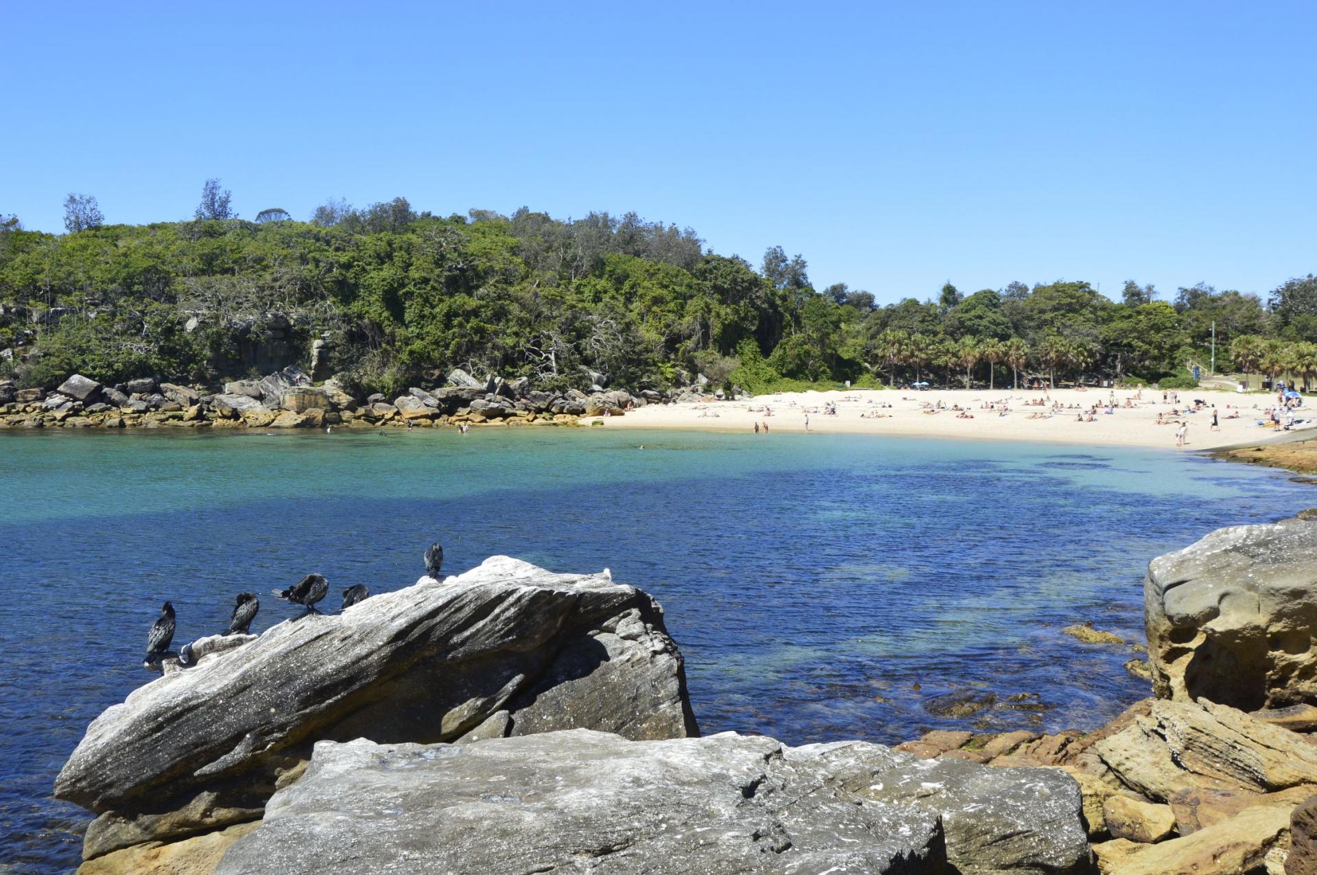 Crique de sable blanc