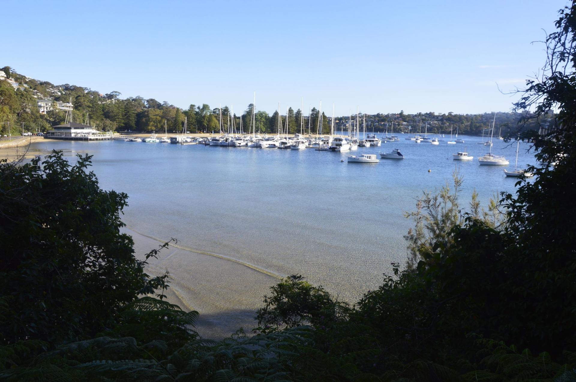 Rando de 10kms autours de Manly beach