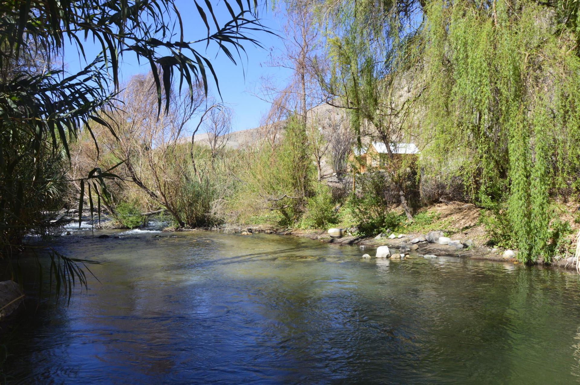 Balade sur le Rio Claro