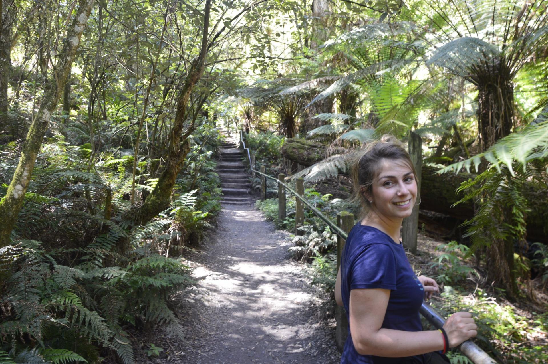 Randonnée dans le nord de Melbourne : 1000 steps