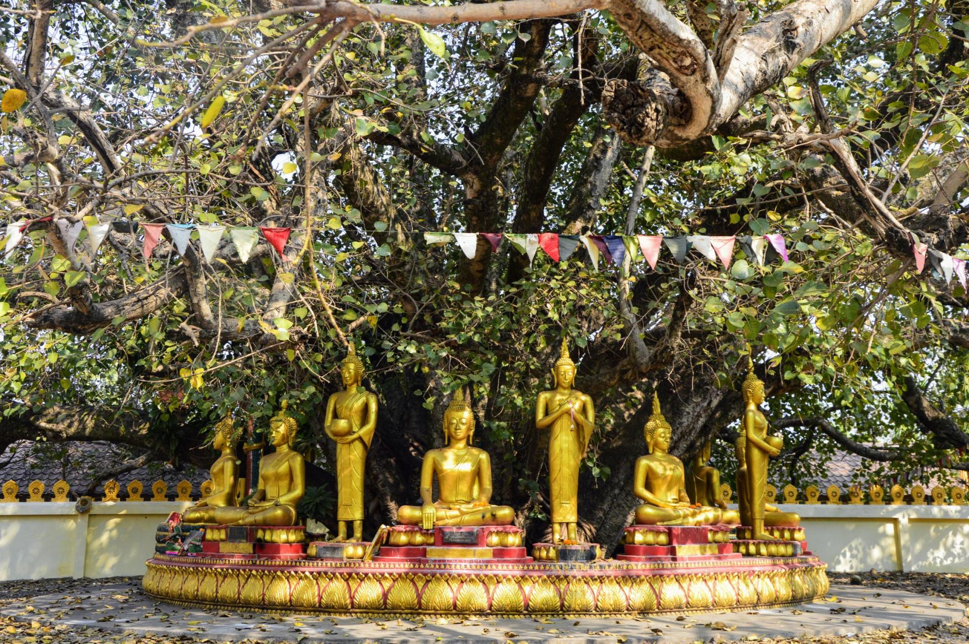 Pha that Luang temple