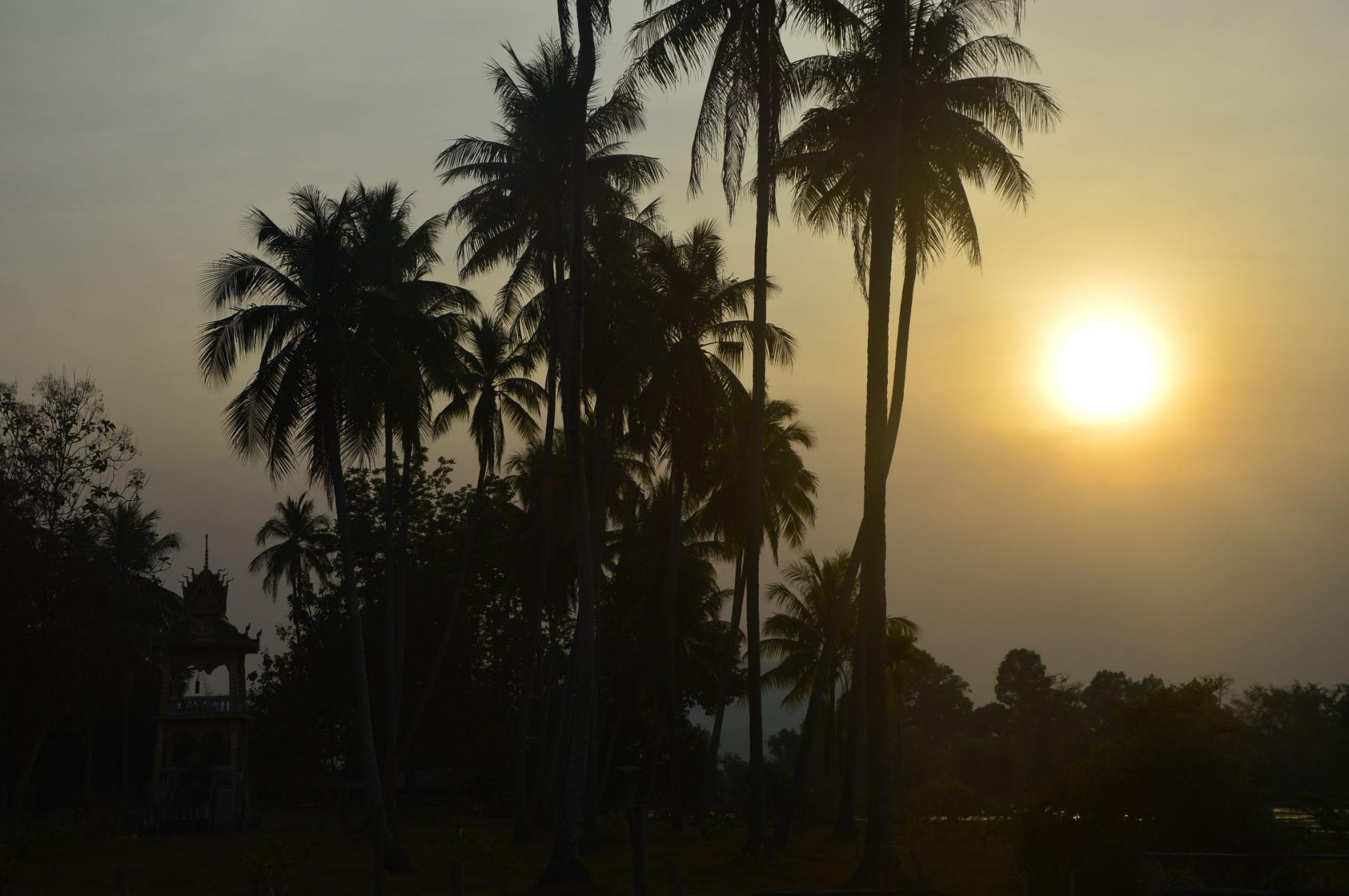 A contre jour