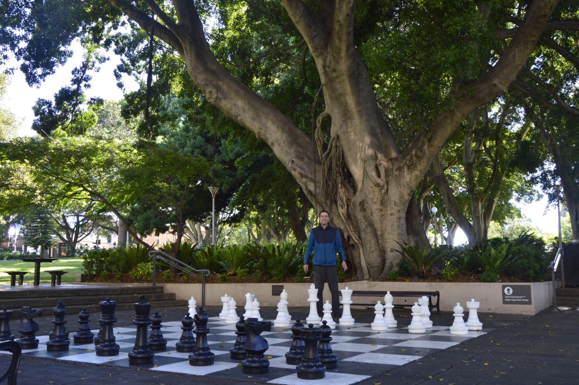 Entraînement aux échecs dans le Hyde Park