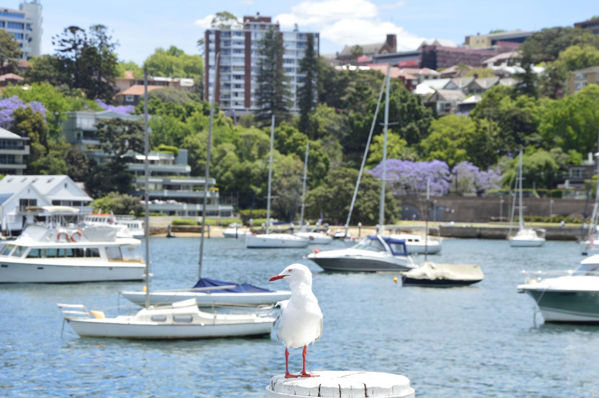 Balade sur le port