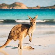 Quelle est la capitale de l'Australie?