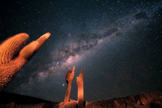 La tête dans les étoiles...