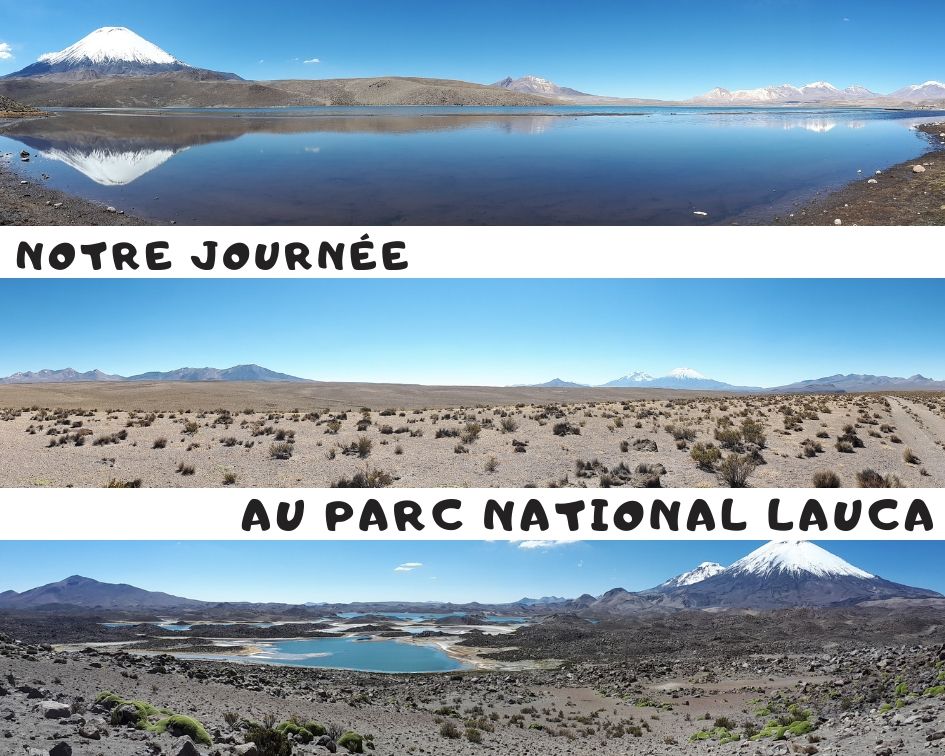 Parc national lauca