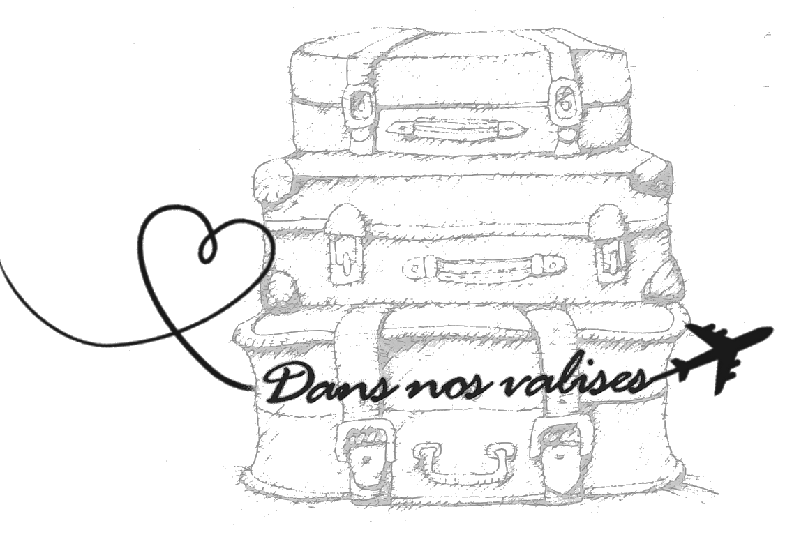 dansnosvalises